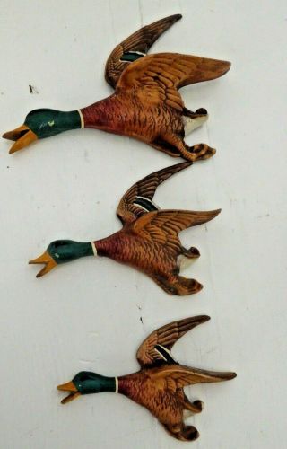 Set Of 3 X Vintage 1958 Graduated For Wall Hanging - Flying Ducks