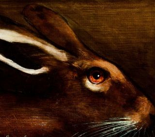 Hare Portrait : Oil Painting On Canvas Paper : Art By David Andrews