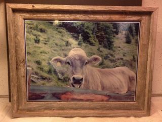 Brown Swiss Art,  Brown Swiss Photo,  Brown Swiss Cow,  Dairy Cow Art,  Cow Art