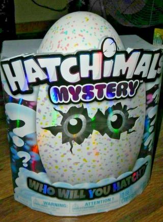 Hatchimals Mystery Egg Who Will You Hatch? Fluffy Fur