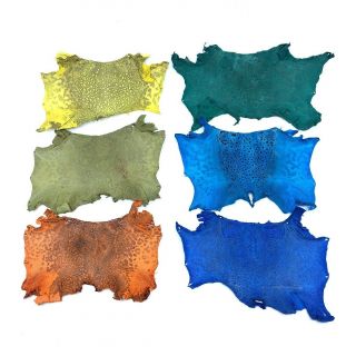 Bufo Marinus Cane Toad Skin Professionally Dyed Craft Leather Set Of 6 Matte 3