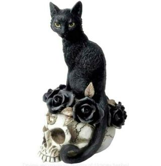 Alchemy Gothic Black Cat Skull Grimalkin 