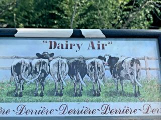 Rare Holstein Cow Dairy Air Derriere Bottom End Tails Udder Picture Art ❤️sj8j