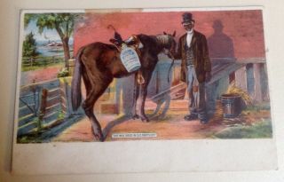 Green River Whiskey Advertising Postcard Black Man In Top Hat With Horse