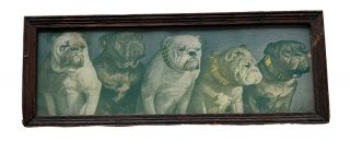 Vintage Bulldog Dog Framed Artwork Signed By Kenyon