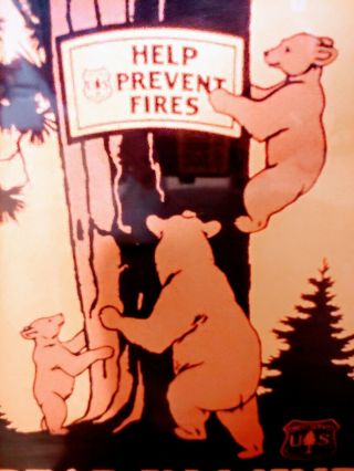 Vtg U.  S.  Forest prevent fires bear print poster framed Smokey the bear 80 ' s 3