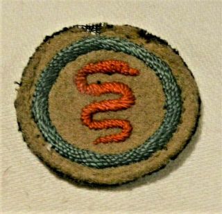 Red Serpent Boy Scout Healthyman Felt Proficiency Award Badge Troop
