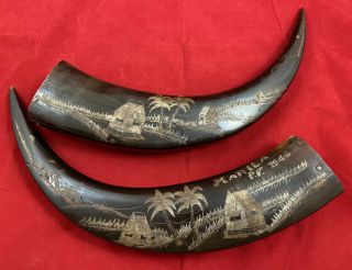 2 Vintage Manila Philippines Scrimshaw Carving Etched Water Buffalo Horns 1946