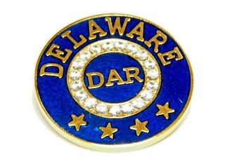 Dar Delaware State Membership Pin - Final Discount - Item Will Not Be Relisted