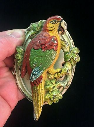 Antique Cast Iron Parrot Door Knocker Hand Painted (macaw)