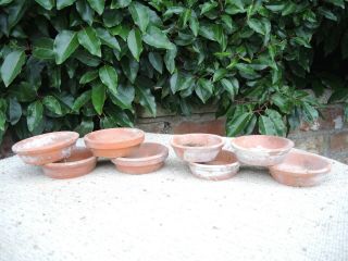 8 Old Vintage Terracotta Plant Pot Saucers Shallow Pots 3.  5 - 4 " Diameter (v)