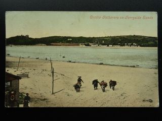 Carmarthen Cockle Gatherers On Ferryside Sands C1906 Postcard By D.  Williams