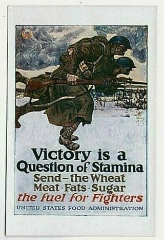 World War I Harvey Dunn Postcard From Poster Victory Is A Question Of Stamina