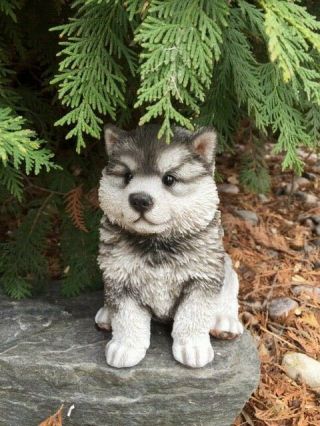 Malamute Puppy Dog Sitting Figurine Resin Pet Ornament 6.  5 " Gift Husky