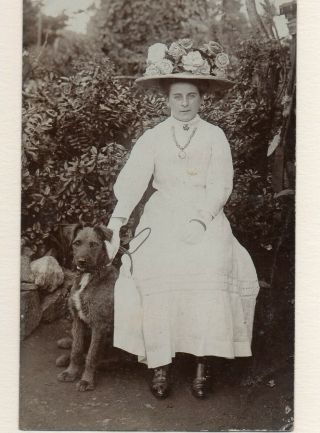 Irish Terrier Dog Edwardian Lady Big Hat 1910 Private Photo Rppc Postcard