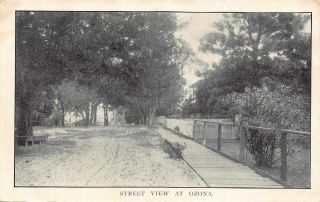 Fl - 1900’s Very Rare Florida Street View Of Ozona,  Fla - Pinellas County