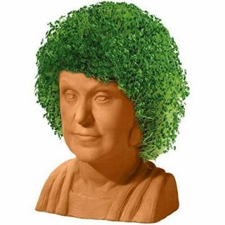 Chia Pet Golden Girls Dorothy with Seed Pack,  Decorative Pottery Planter,  Easy t 3