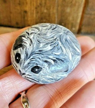 Hand Painted Guinea Pig Rock By Artist Mary Nell Malone 50