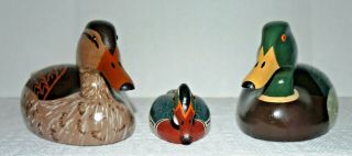 3 Vtg Wooden Duck Hunting Decoy Hand Carved Painted Mallard Indoor Decor 9 & 14 "