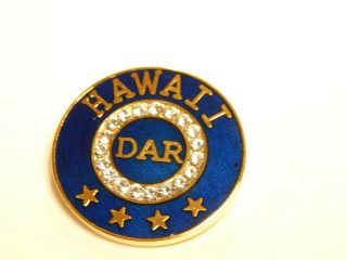 Hawaii State Dar Membership Pin - One Of A Kind -