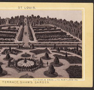 Shaw ' s Garden 1890 ' s St Louis Missouri Botanical Garden Photo Lith Antique Card 3