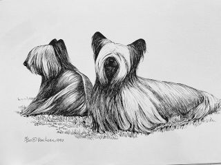 Skye Terrier Ltd Ed Print 14/500 By Van Loan 11x17