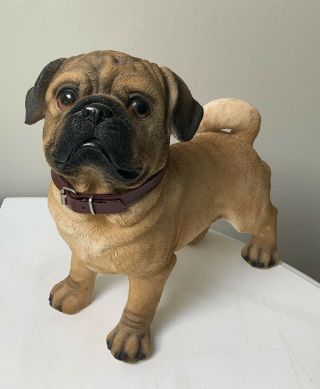 Rare Life Size Standing Fawn Pug Dog Figurine Sculpture With Collar Nr