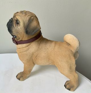 RARE Life Size Standing Fawn Pug Dog Figurine Sculpture With Collar NR 2