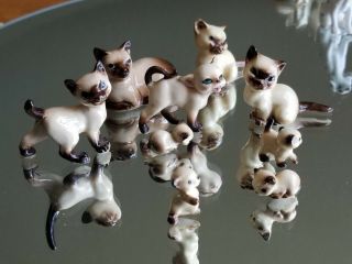 Vintage Set Of 9 Siamese Cats Figurine Miniature Ceramic - Porcelain Hand Painted