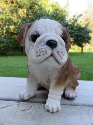 Bulldog Puppy Dog Sitting Figurine Statue Resin Pet 6.  5 " H Ornament Wrinkles
