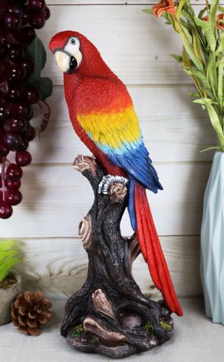 Tropical Rainforest Paradise Bird Scarlet Macaw Parrot Perching On Branch Statue