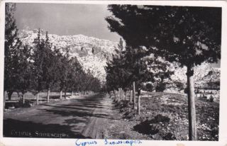 Cyprus Postcard Troodos Snowscape Views Pantelides