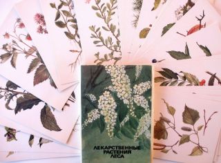 Set Of 32pcs Green Pharmacy Medicinal Plants Herb Ussr Russian Postcard 1991