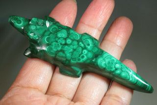 3.  5 " Natural Green Malachite Alligator Crystal Carving Gemstone Gift 4208