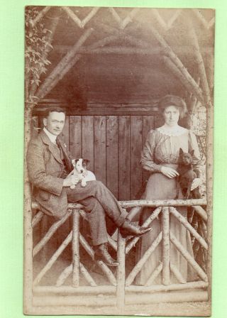 Jack Russell Terrier & Schipperke Dog Edwardian Couple Antique Photo Postcard