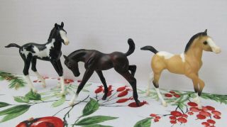 3 Breyer Classic Size Foals Andalusian Pinto Black Pinto & Dark Bay Frolicking F