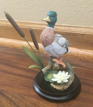 Country Artists Mallard With Waterlily - Hand Painted - Hand Crafted