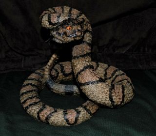 Incredible Realistic Western Diamondback Statue Hand Painted Can 