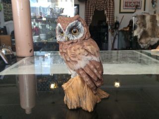 Vintage Ak Kaiser W.  Germany Bisque Porcelain Owl Figurine 577