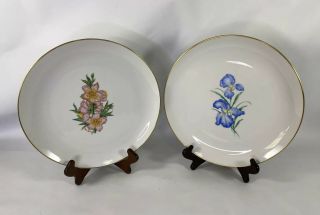 Vintage Order Of The Eastern Star Masonic 2 - Collector Plates Pink & Blue Flowers