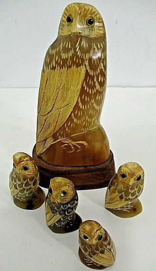 Vintage Hand Carved Buffalo Horn Set 5 Owl Figurines Glass Eyes