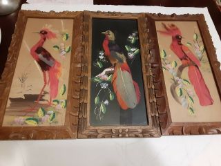 3 Vintage Framed Pictures Of Birds Made With Real Feathers,  6.  5 X 12