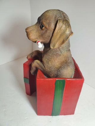 CHOCOLATE LABRADOR RETRIEVER LAB puppy dog Figurine Statue Christmas candy cane 3