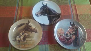 Classic Fred Scott Artist Collectible Horse Plates