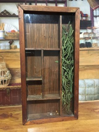 Vintage Wooden/glass Shadow Box Display Case 8x15x2.  5”