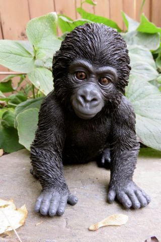 Gorilla Baby Figurine Statue Resin Pet 5.  5 " H Jungle Animal Ornament Ape