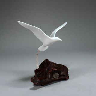 Seagull Sculpture Direct From John Perry 9in Wingspan Burl Base Upwing Style
