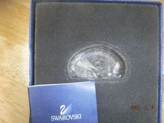 Swarovski Silver Crystal 2015 Membership " Peacock (swan) Paperweight " Box/coa