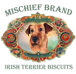 Irish Terrier Mischief Brand Biscuit Tin & Cookies