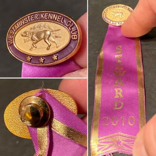 Vintage Wkc Westminster Kennel Club Steward Enamel Pin Ribbon 2010 Pointer Dog